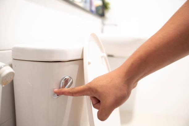 toilet repair & replacement